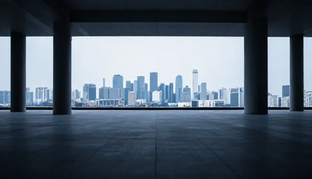 信息系统集成:自主开发与外包选择的实践对比